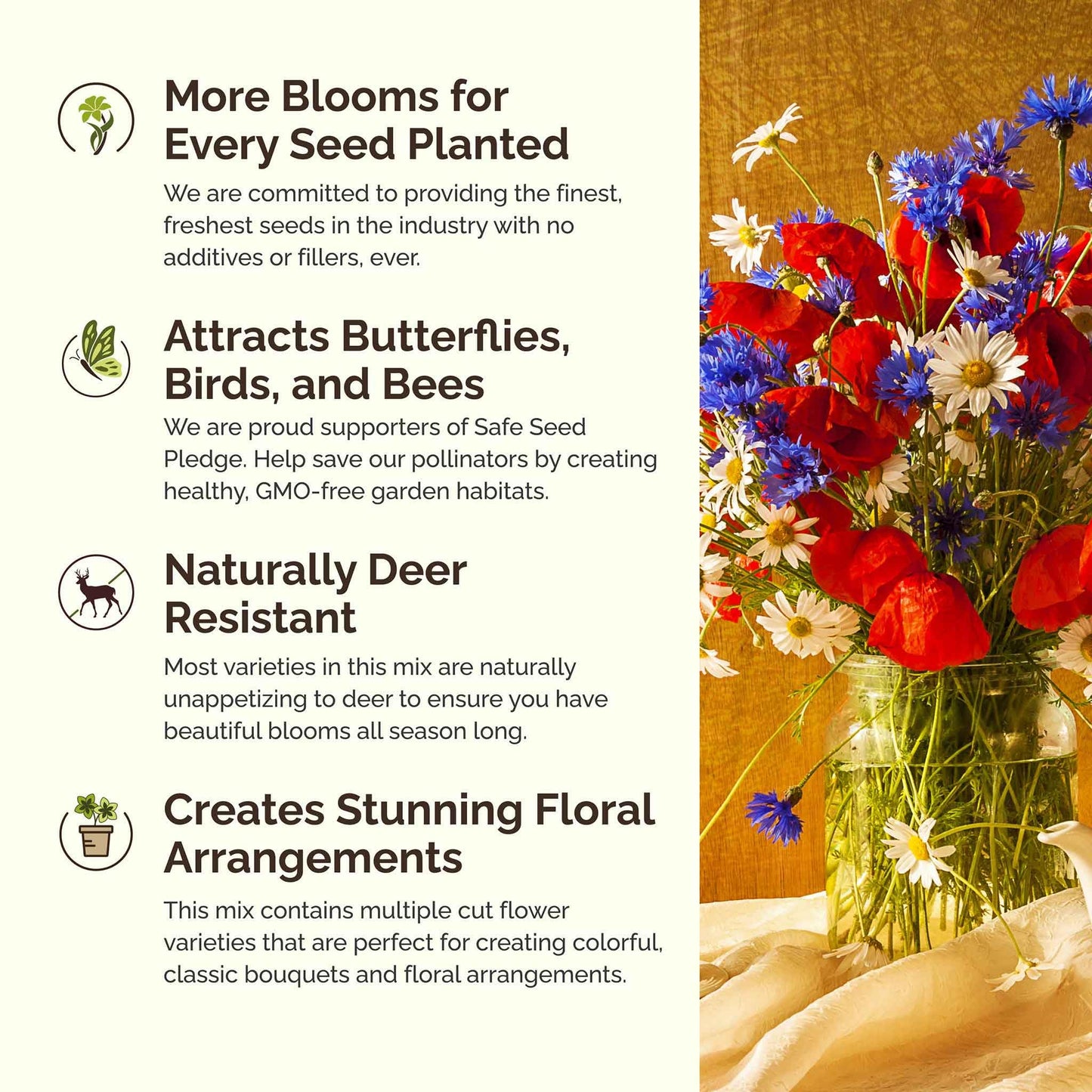 Eden Brothers Northeast Wildflower Mixed Seeds for Planting, 1/4 lb, 120,000+ Seeds with Cosmos, Candytuft, Shasta Daisy | Attracts Pollinators, Plant in Spring or Fall, Zones 3, 4, 5, 6, 7, 8, 9, 10