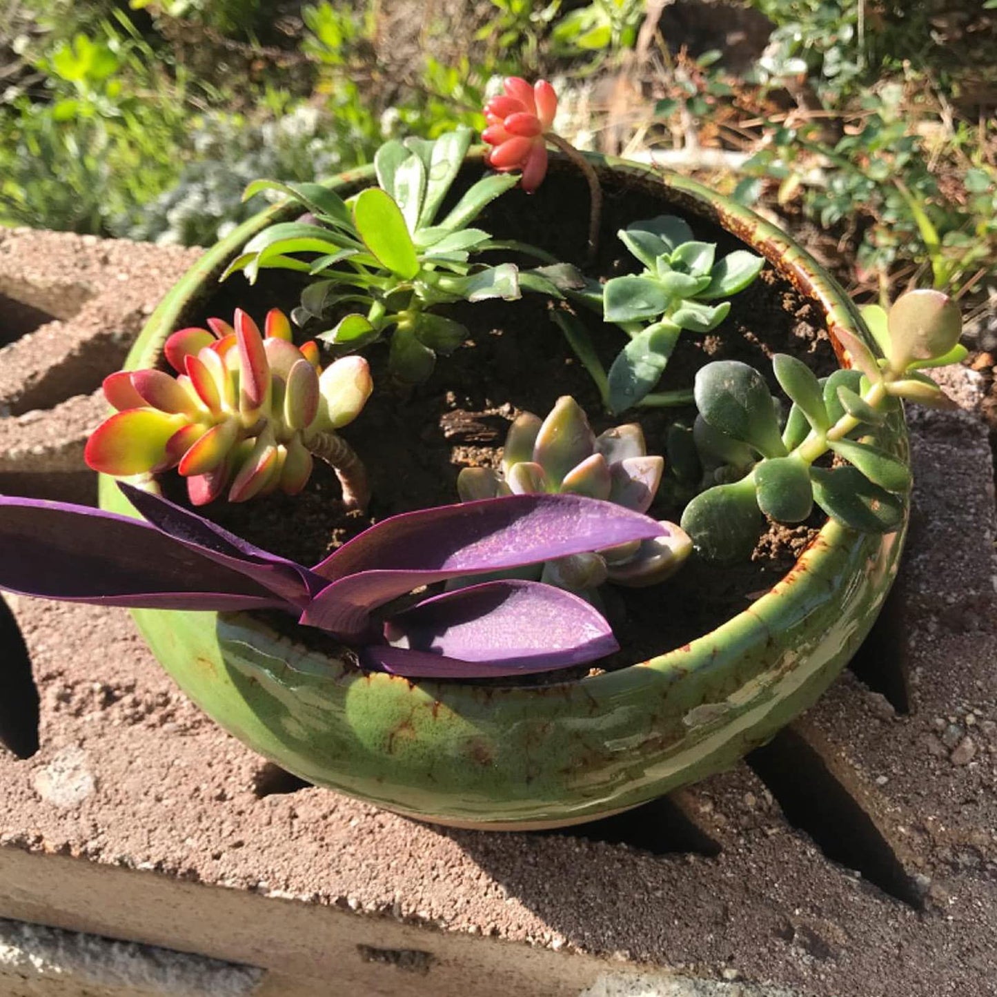 ARTKETTY Succulent Pots with Drainage, 2 Pack Large Succulent Planters Ceramic Bonsai Pot with Trays, 7.3 Inch Round Shallow Planters for Indoor Cactus Flower Plants