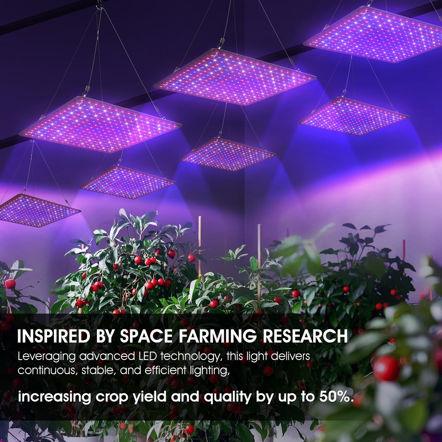 Uallhome 2 Pack LED Grow Light Panel 200W Lamp for Indoor Plants, Full Spectrum with White Blue Red UV IR LEDs for 4x4ft Coverage Grow Tent Greenhouse Veg and Bloom Seedlings Hydroponics