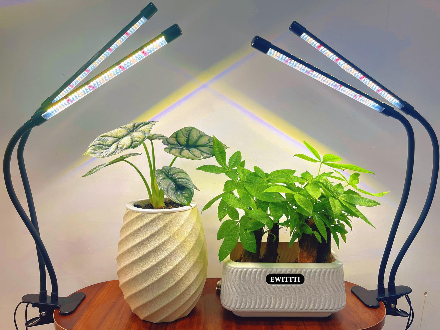 EWITTTI Plant Lights for Indoor Growing,84leds Clip Grow Light, 6500k Grow Lights for Indoor Plants Full Spectrum with Cold Warm Red LEDs,10 Dimmable Levels,Auto On Off Timing 3/9/12h Hrs(2pcs)