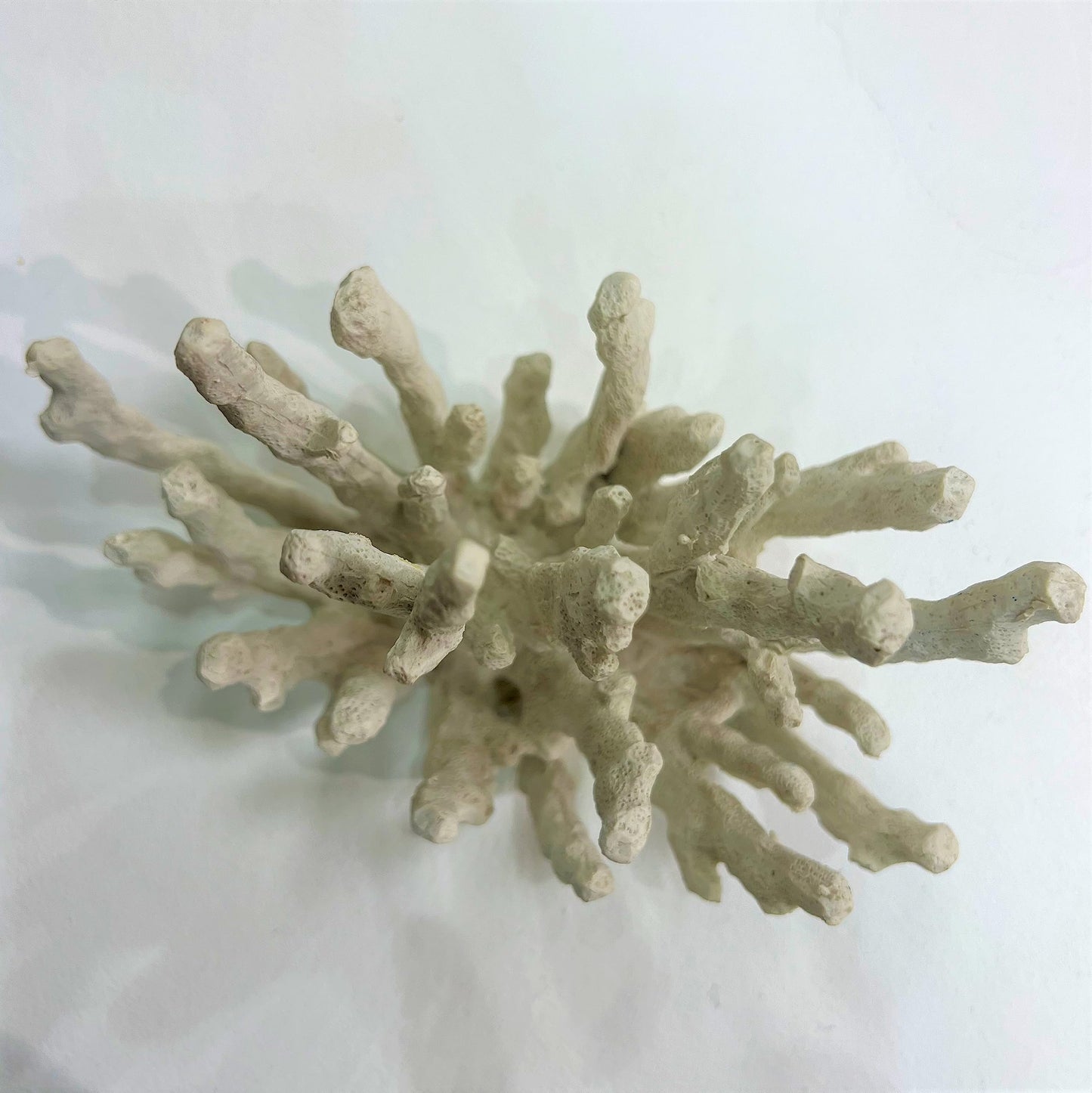 Abbott Collection 20-SEASHORE/25 Large White 3D Starfish Decorative Resin Figurine