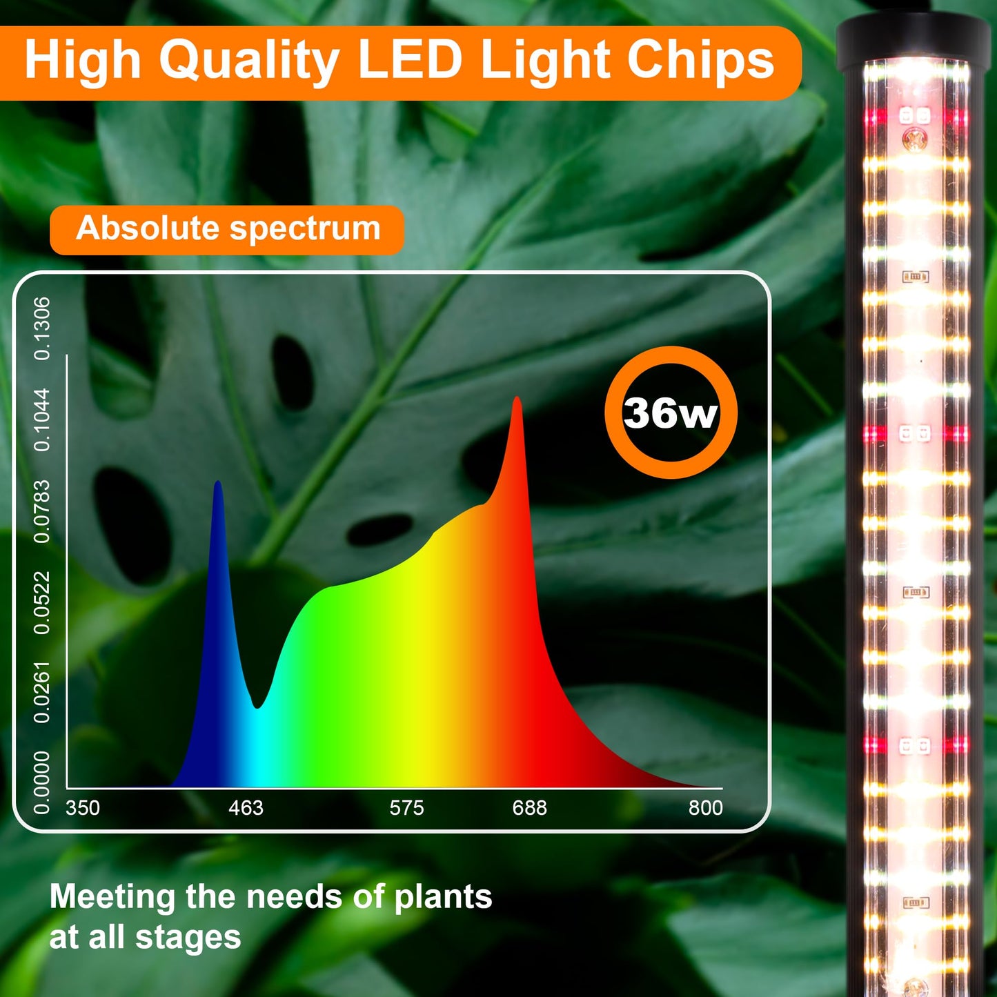Oizuon Plant Grow Lights Indoor – 64.5'' Tall Full Spectrum Plant Growing Lamps with 660nm, 3000K & 6000K LEDs, 36W Grow Lights for Indoor Plants with Dual Auto Timer (4H/8H/12H) & Remote Control