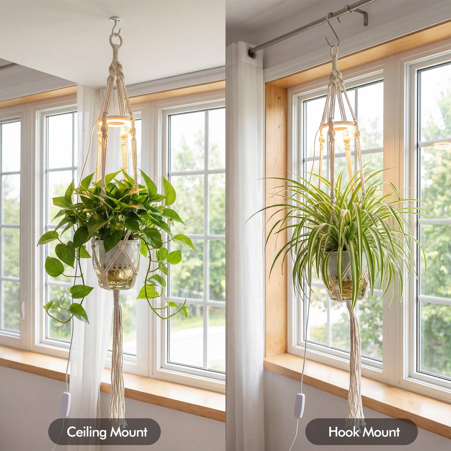 Lazukes Hanging Plant Grow Lights for Indoor Plants with Timer, Wall Mounted Full Spectrum Pendant Growing Light with Macrame Plant Hanger, Ceiling LED Planta Luz for Potted Plants Home Decor