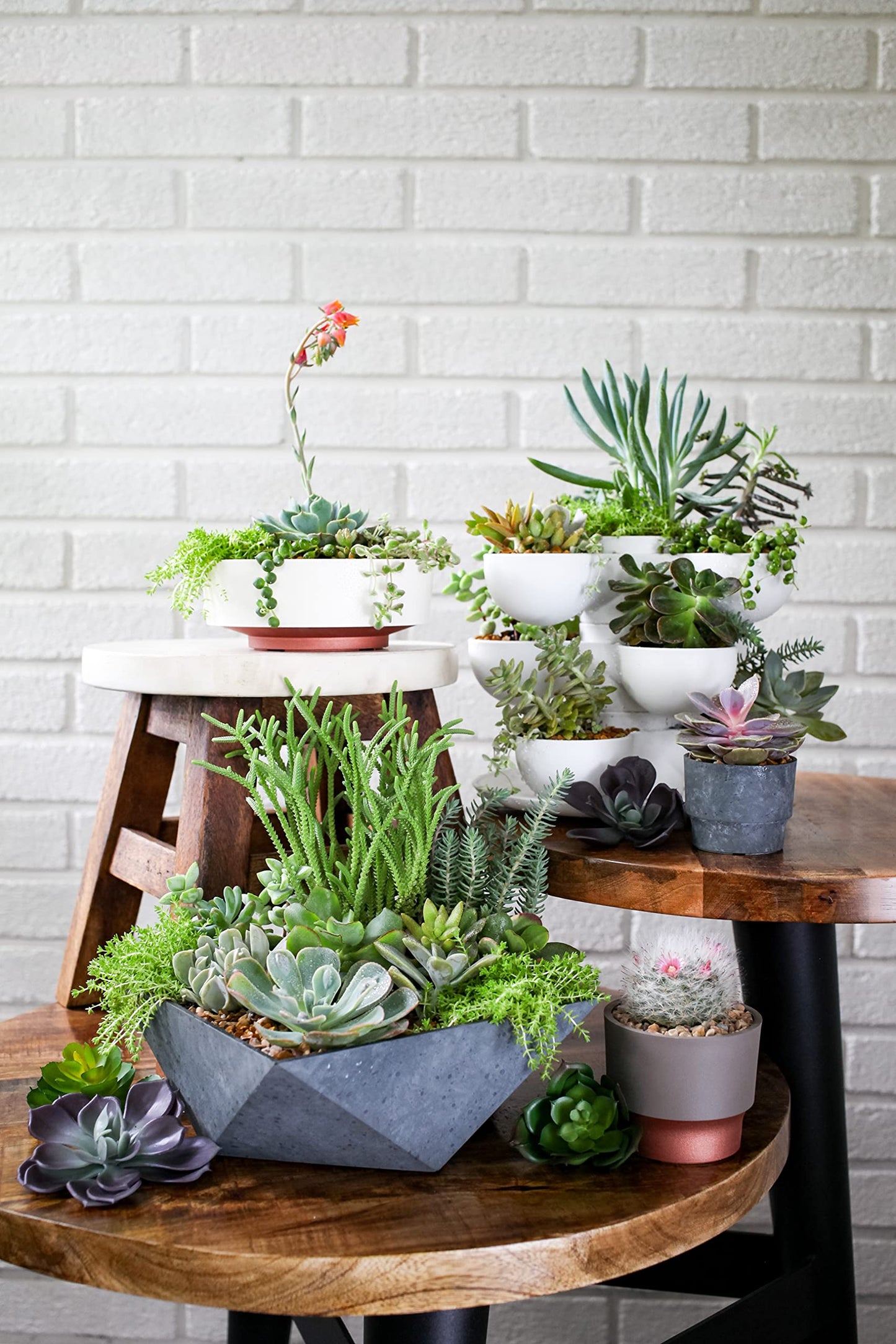 The HC Companies 6 Inch Deco Faceted Plastic Succulent Bowl - Unique Decorative Indoor Planter with Drainage Hole, Faux Concrete (Pack of 2)