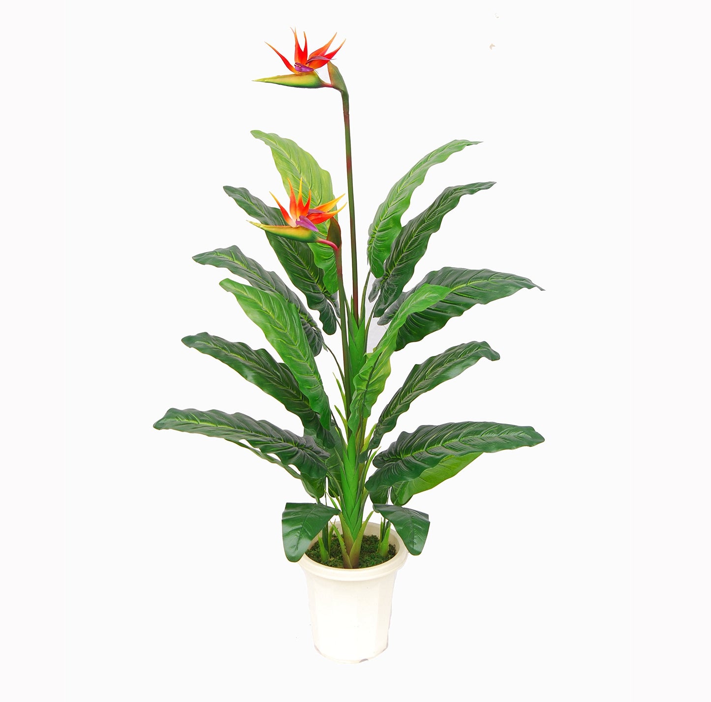 AMERIQUE Unique And Gorgeous Large 5' Paradise Bird Flower Artificial Plant Real Touch Technology, with Nursery Plastic Pot, with UV Protection, for Both Indoor and Outdoor display