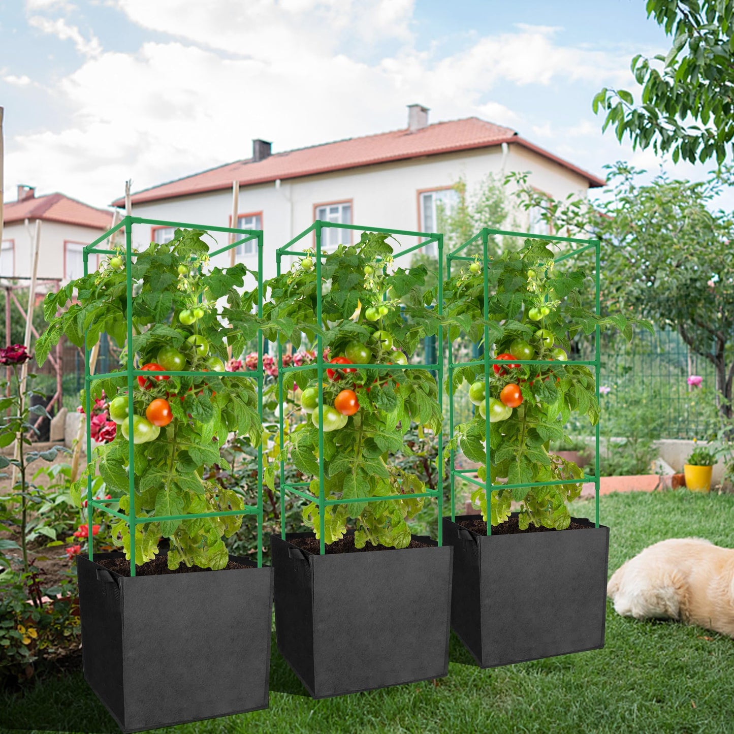 3 Packs 47 x 16 x 16 Inch Garden Tomato Cages with 17 Gallon Grow Bags- Square Plant Support Trellis Assembled with Planter Bags- Garden Cucumber Vegetables Frames for Vertical Climbing Plants