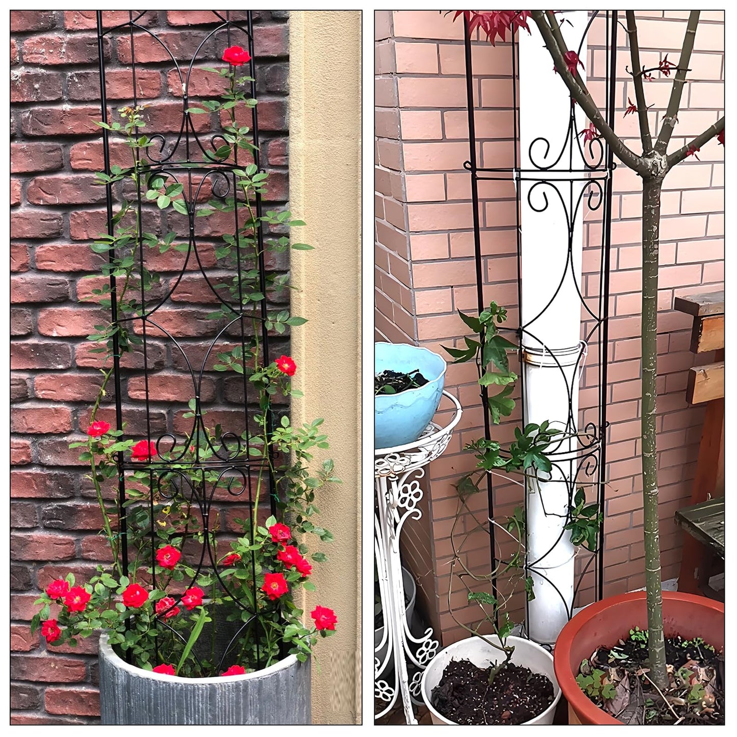 Thealyn Garden Trellis 2 Pack 72'' H x 12'' W Metal Plant Trellis Indoor/Outdoor Metal Garden Trellis Plant Trellis for Potted Plants Climbing Houseplants Flowers
