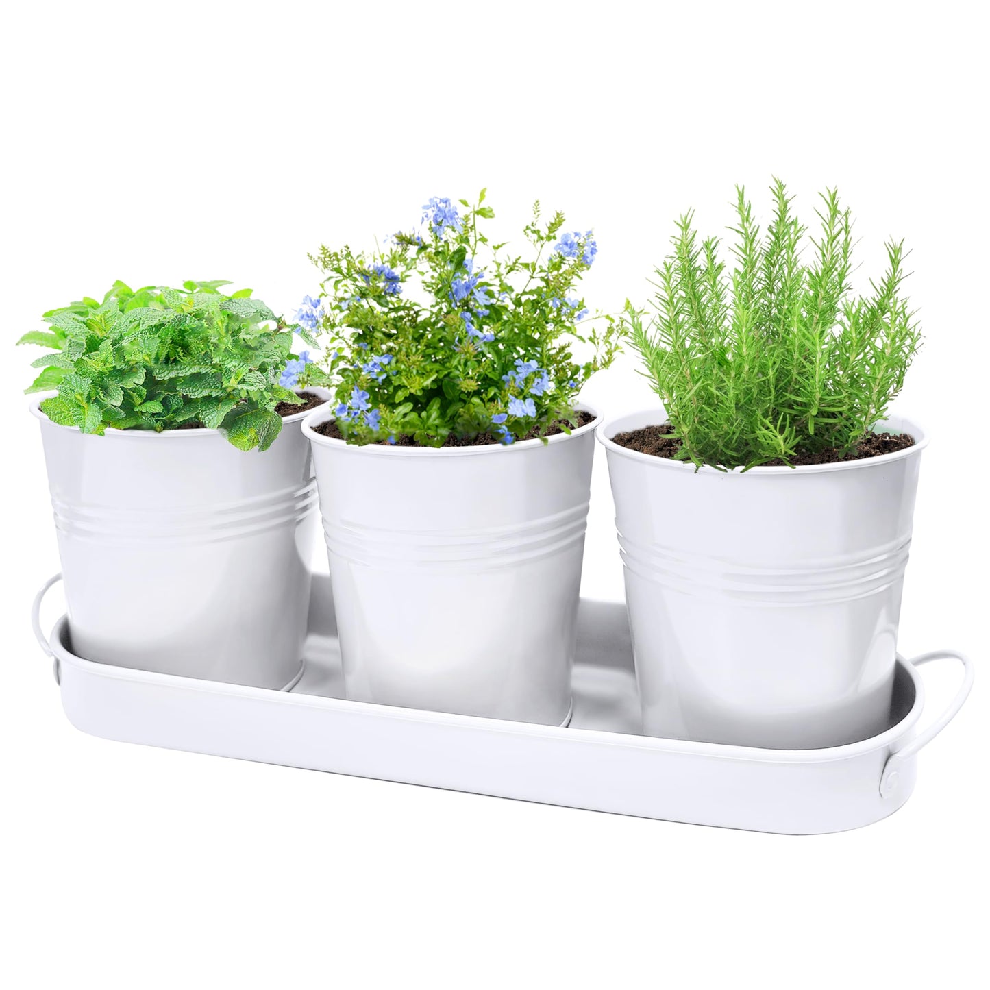SORANGEUN Metal Herb Garden Planter Set with Tray, 3-Pack White Zinc-Coated Windowsill Plant Pots with Drainage Holes & Handles for Indoor Outdoor Kitchen Garden