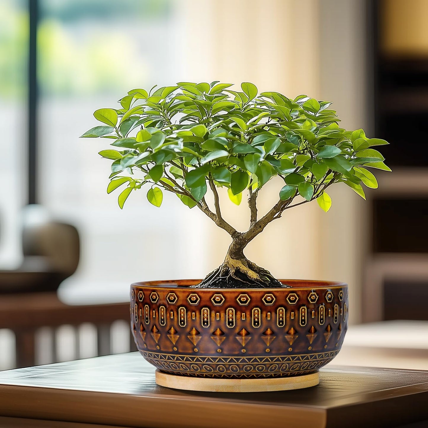 Fivepot Bonsai Pots - 8 Inch Ceramic Planter with Drainage Hole and Saucer, Boho Round Shallow Succulent Bowl for Indoor Plants Flower, Room Decor, Gifts for Plant Lovers, Brown