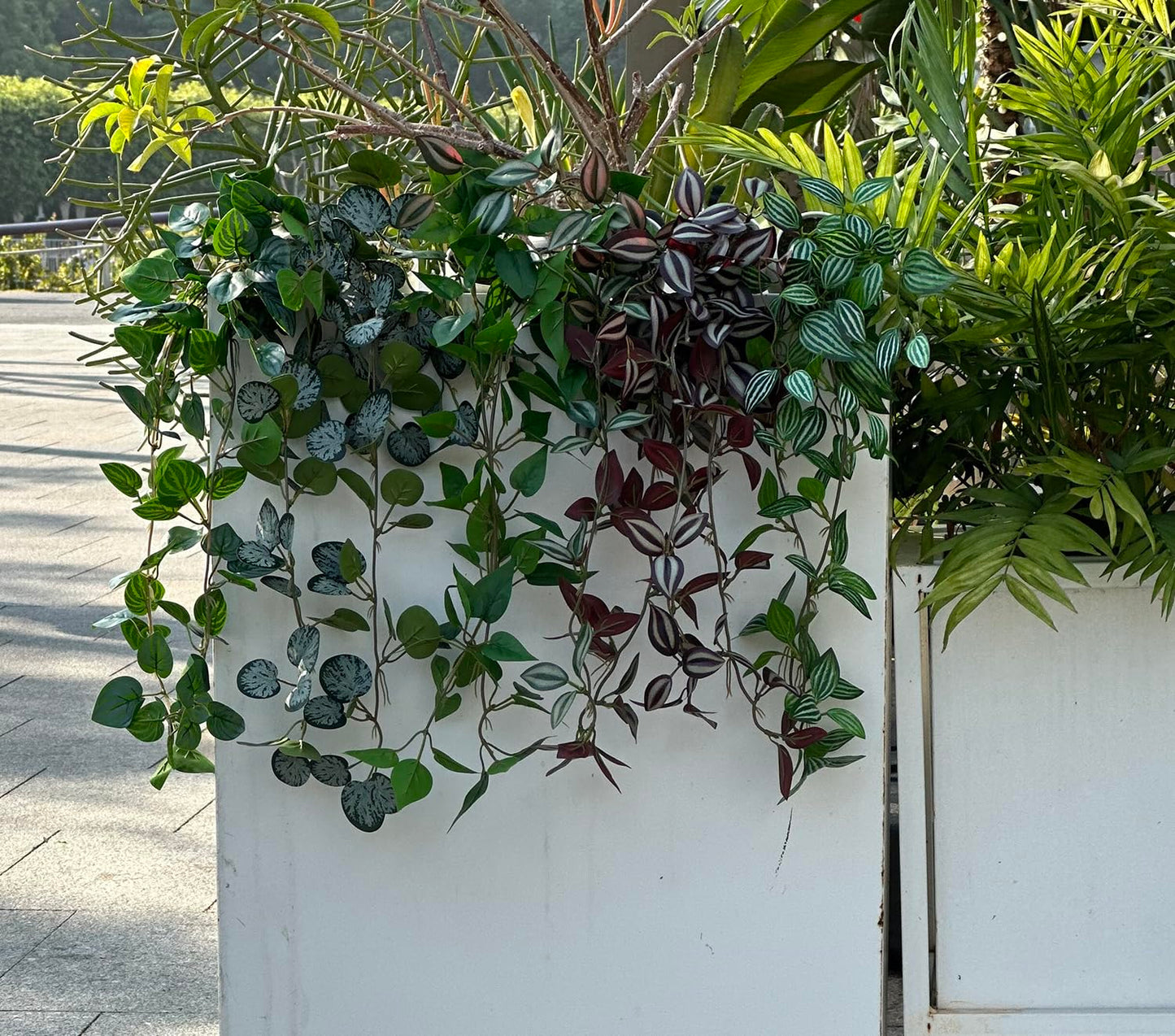 Kiko Artificial Plant Trailing with Pot 16.5" (42cm) Long Fake Table Plant for Office, Gymnasium Room, Living Room, Dinner Room, and Home Decoration, Artificial Plant for Indoors.