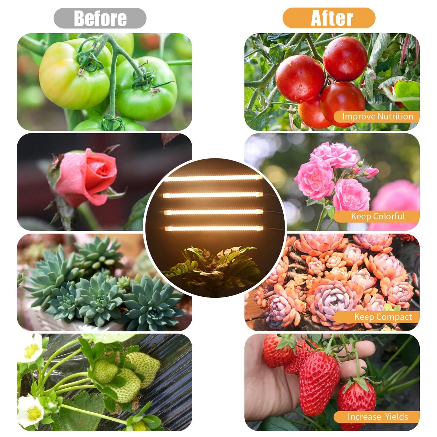 RWNTAO LED Plant Grow Lamp, 3500K Full Spectrum Growing Light Strips for Indoor Small Plants with 3/9/12H Timer & 10 Dimmable Levels, LED Growth Light for Green House Hydroponics Succulent 2 Pack