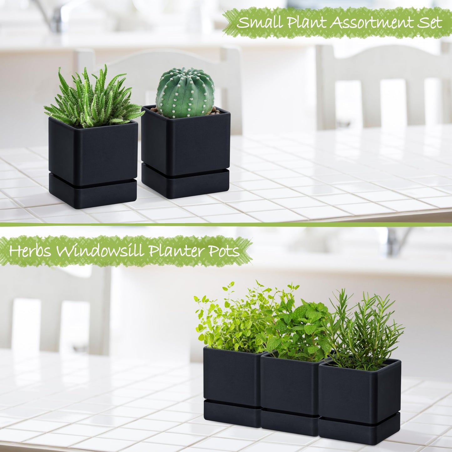 D'vine Dev 4 Inch Herb Planter Pot, Plastic Planter with Drainage Holes and Saucer, Modern Decorative Gardening Pot for Indoor Plants, Flowers, Herbs, Succulents, Black, Set of 3, 76-Y-B3-1
