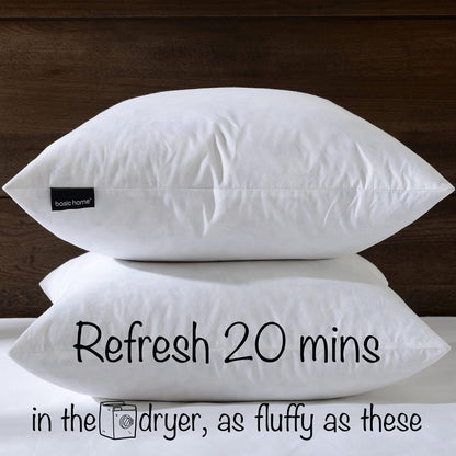 20x20 Decorative Throw Pillow Inserts-Down Feather Pillow Inserts-Square-Cotton Fabric-Set of 2-White.