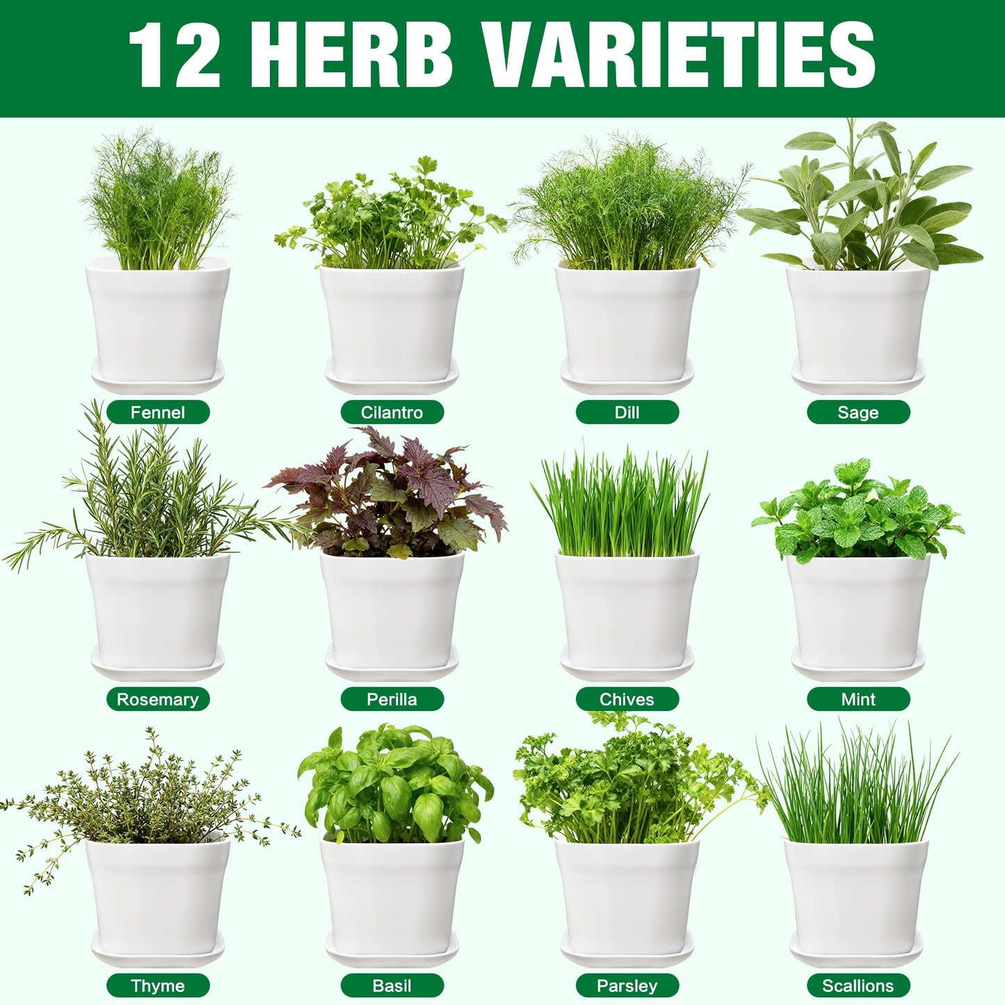 12 Herb Garden Kit Indoor - 42 Pcs Complete Kitchen Window Herbs Seeds Growing Starter Set Kit Gardening Gift Birthday Housewarming Christmas Gift for Women Her Mom Men Home Chefs Gardener Beginner