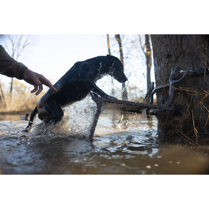 Momarsh Ramp Stand | Foldable Dog Ladder Platform for Waterfowl Hunting Training | Adjustable Pet Trainer Stand | Duck Retriever Instruction Blind | Portable Dura-Mesh Timber or Boat System