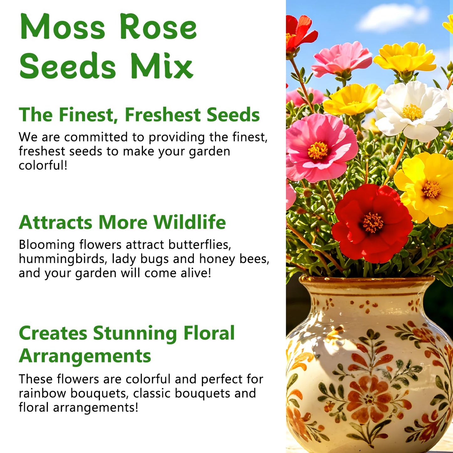 Moss Rose Seeds, 10,000+ Bulk Flower Seeds for Planting Outdoors(99% Pure Live, Non-GMO), Mixed Colors and Large Blooms, Attracts Pollinators, Easy to Grow