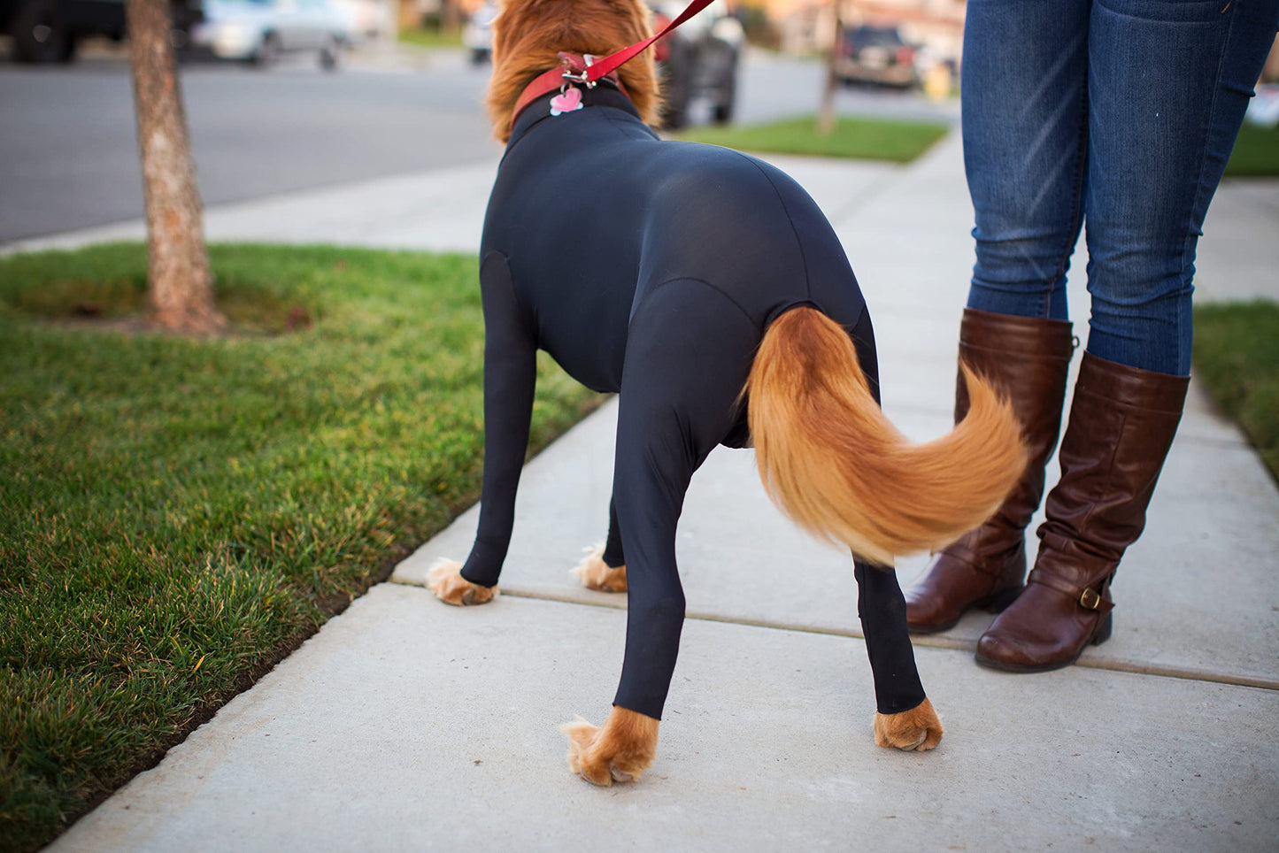 Shed Defender Bodysuit for Dogs - Original Dog Onesie Shedding Shirt - Seen on Shark Tank - Contains Dog Hair, Anxiety Calming Surgery Recovery Suit - Vet Approved