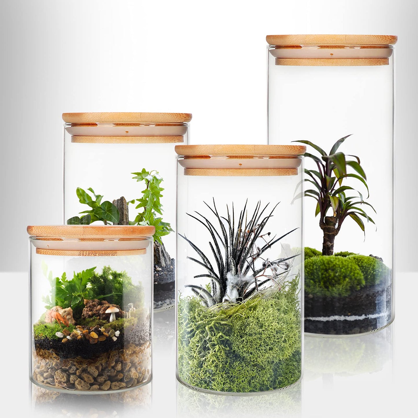 Glass Food Storage Containers Jars with Airtight Bamboo Lid 20 oz 9 pcs, 590 ml Pantry Organization Jar, Glass Terrarium with Lid, Spice, Flour and Sugar Container, Canister Set for Kitchen Counter