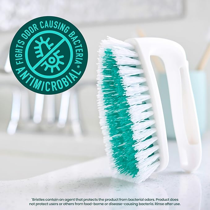 Scotch-Brite All Purpose Brush,