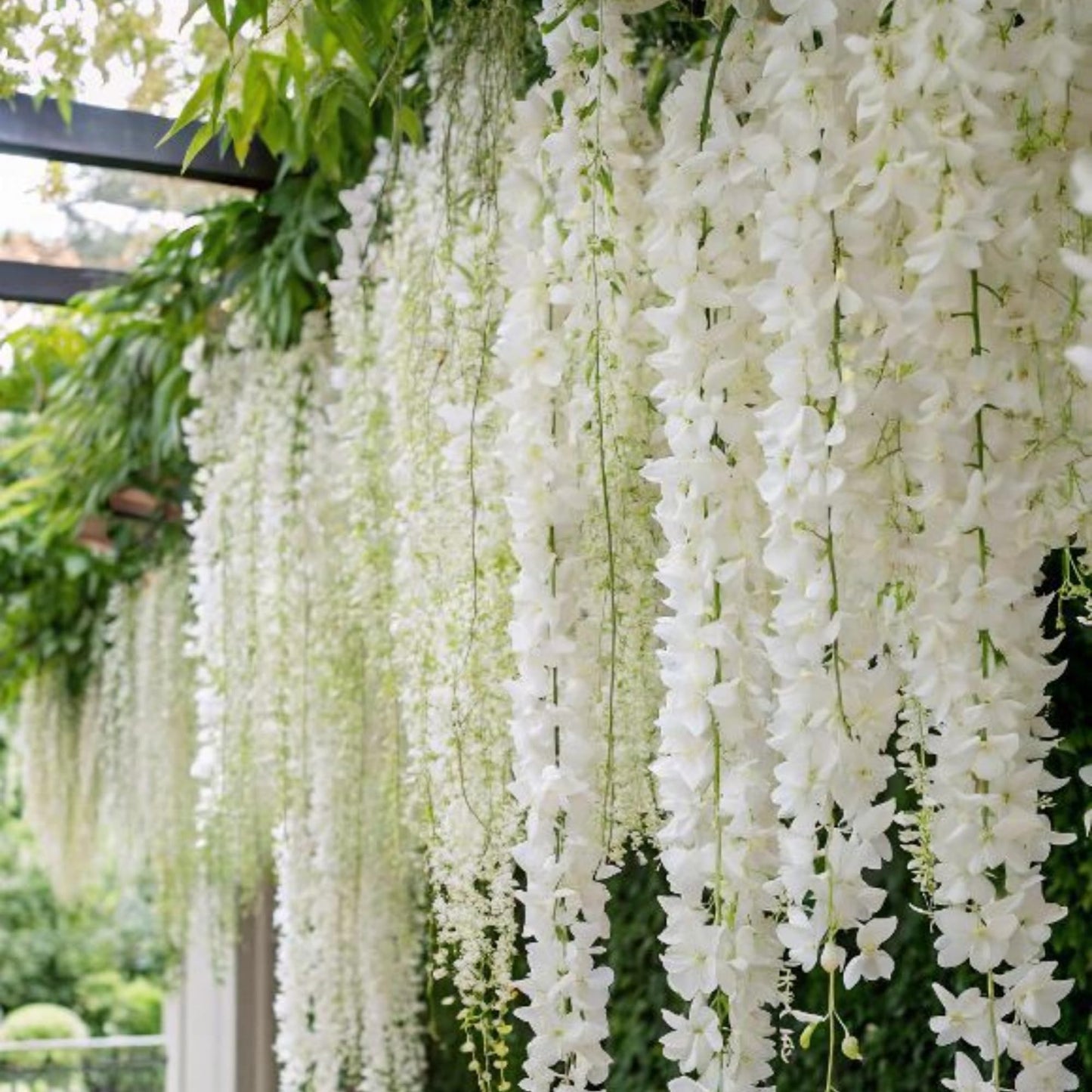 400+ Climbing Weeping Jasmine Flower Seeds for Planting Fragrant Plant Seeds Four Seasons Garden Home Jasmine Garden Balcony Climbing Flower