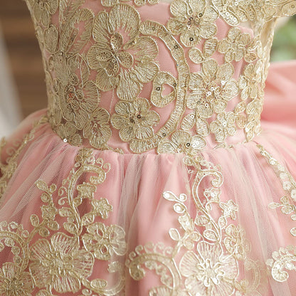 NNJXD Baby Girl Dress Flower Embroidery PrincessTutu Pageant Party Gown 2006 Pink Size(80) 6-12 Months