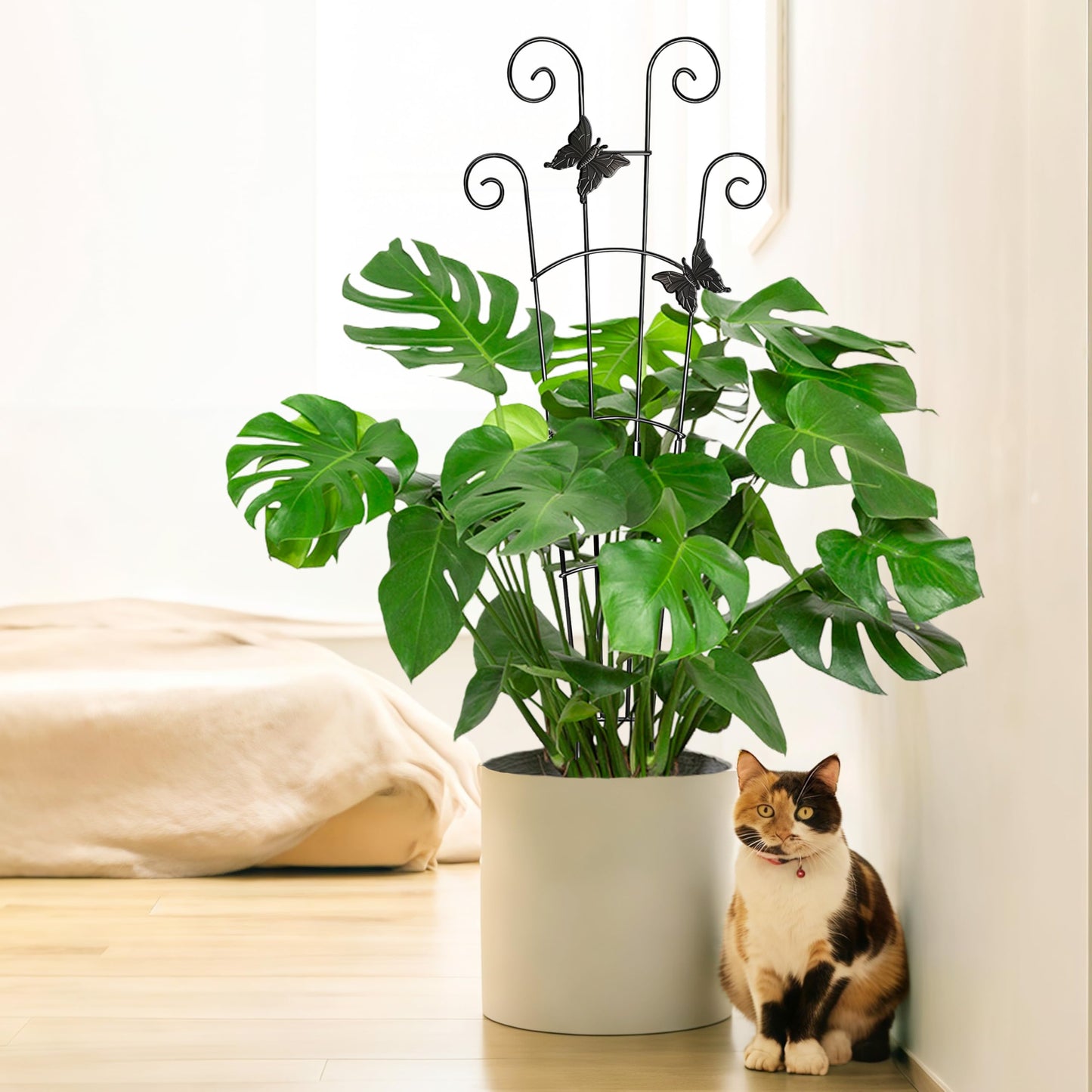 COOMIN 30'' Monstera Plant Support Outdoor, Metal Expandable Plant Supports for Indoor Plants, Garden Monstera Trellis for Climbing Plants Indoor, 2pcs