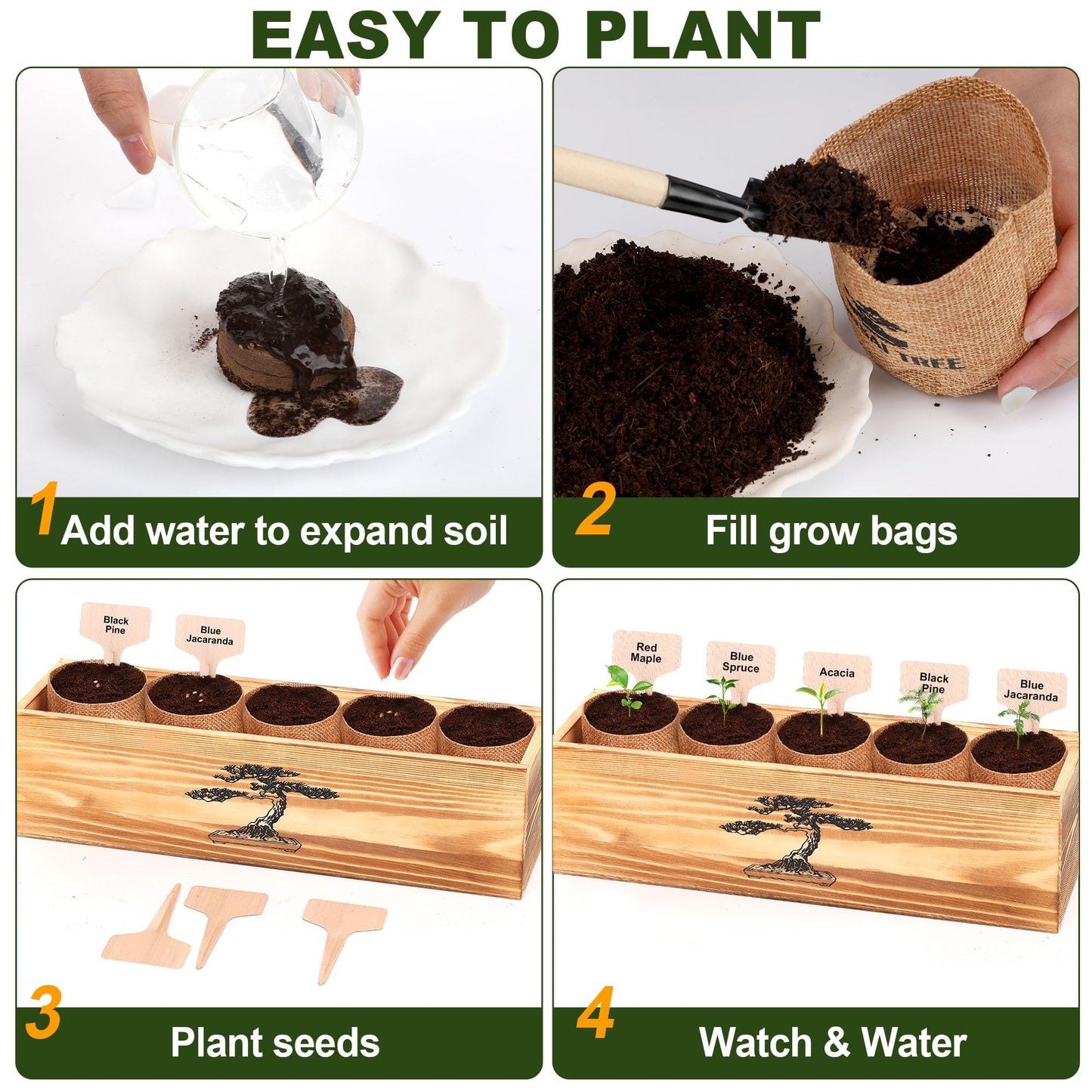5 Pack Bonsai Tree Kit - 5 Seeds Growing Plant Bonsai Tree Live Kit for Beginners, Easy to Grow Complete Indoor Garden Starter Kits with Wooden Box & Tools, Christmas Gifts for Men Women Plant Lover