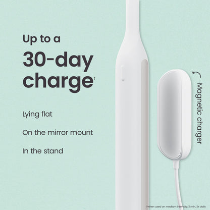 Quip Ultra Next Generation Smart Toothbrush - Timed Electric Toothbrush with Case - Replaceable Brush Head, Soft Bristles, Silicone Handle, 30-Day Battery Life - Travel Toothbrush - Dusk