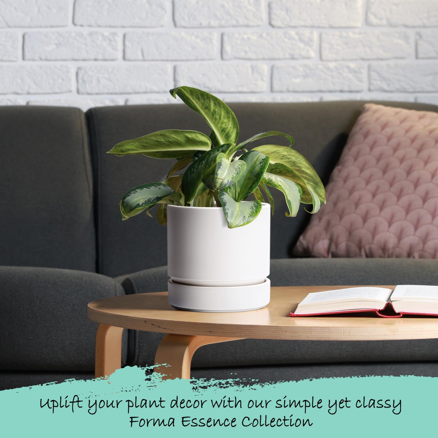 Phoenix Vine 6 Inch Planter Pot with Drainage Hole & Saucer, Deep Water Catch Tray, Straight Cylindrical Round Pot for Plants, Matte White, Pack of 4, 23-B-S-4