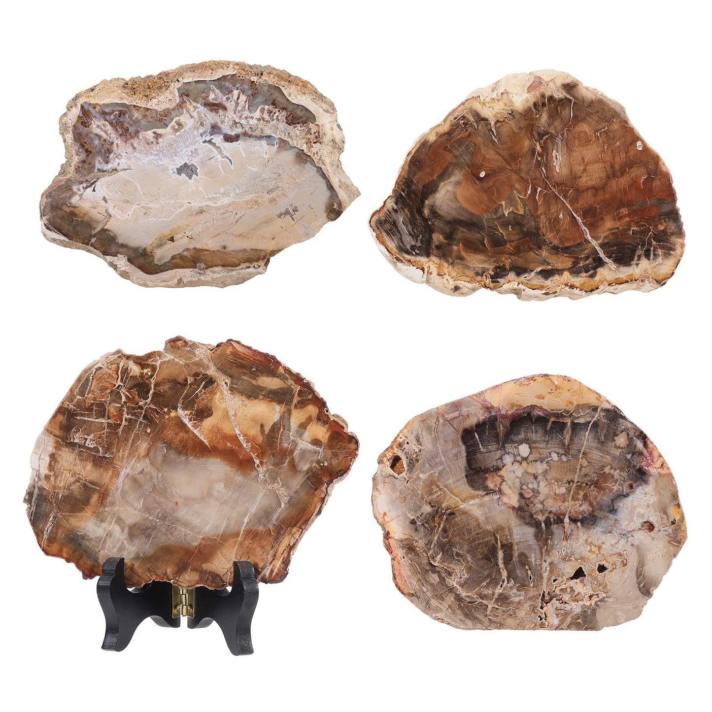 Rockcloud Natural Petrified Wood Slab with Wooden Stand, Reiki Raw Stone Display for Home Office Desktop Decoration