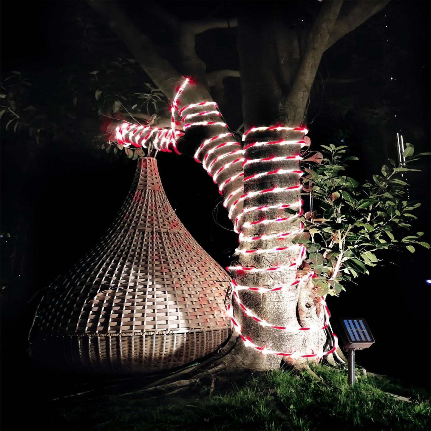 QITONG Solar Christmas Lights, 2 Pack Each 33ft 100 LED Red & White Candy Cane Rope Light Outdoor Waterproof, 8 Modes Fairy Lights in Clear Thin Tube