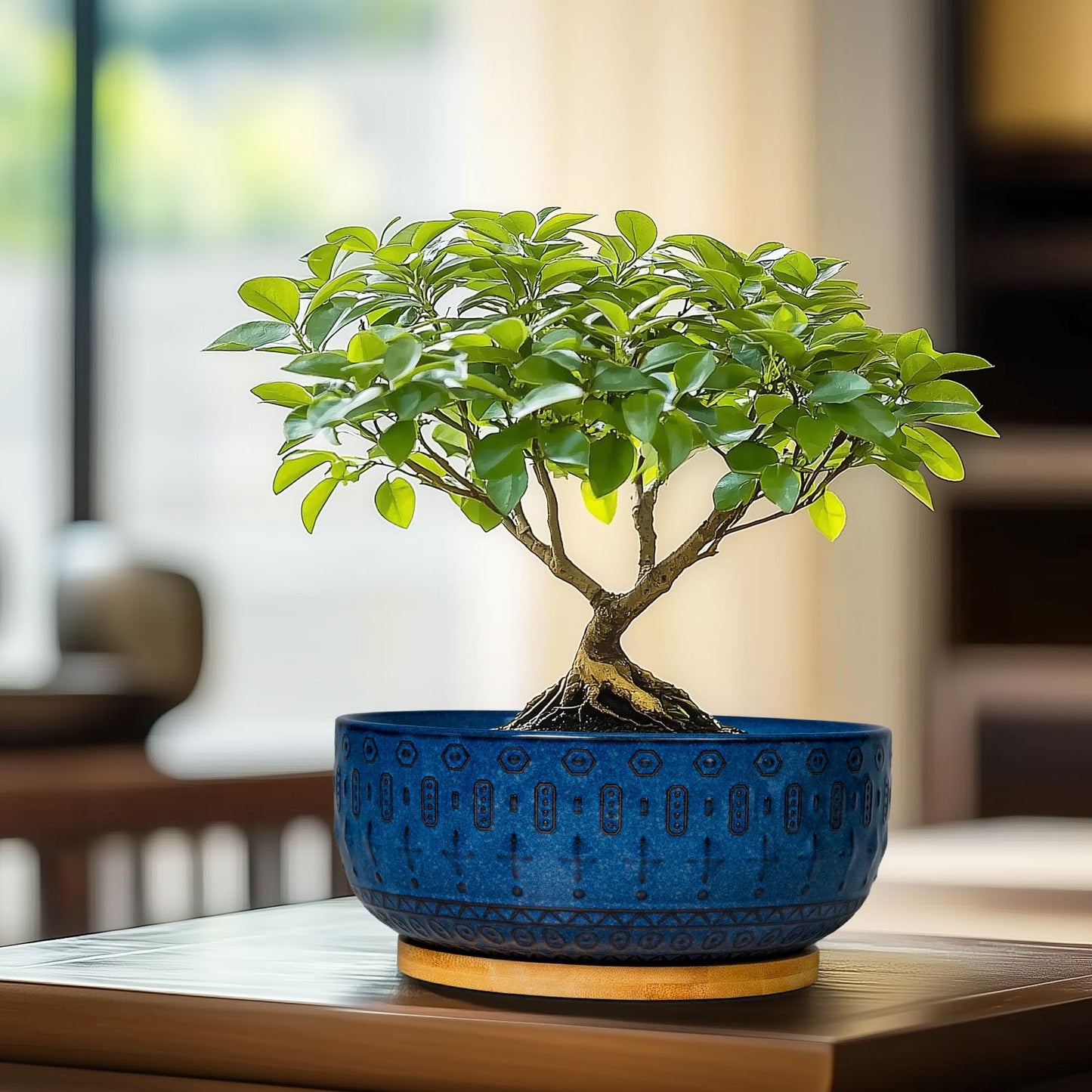 Fivepot Bonsai Pots - 8 Inch Ceramic Succulent Pots with Drainage Hole and Saucer, Planters for Indoor Plants, Modern Round Decorative Flower Planter, Home Decor, Housewarming Gifts, Blue