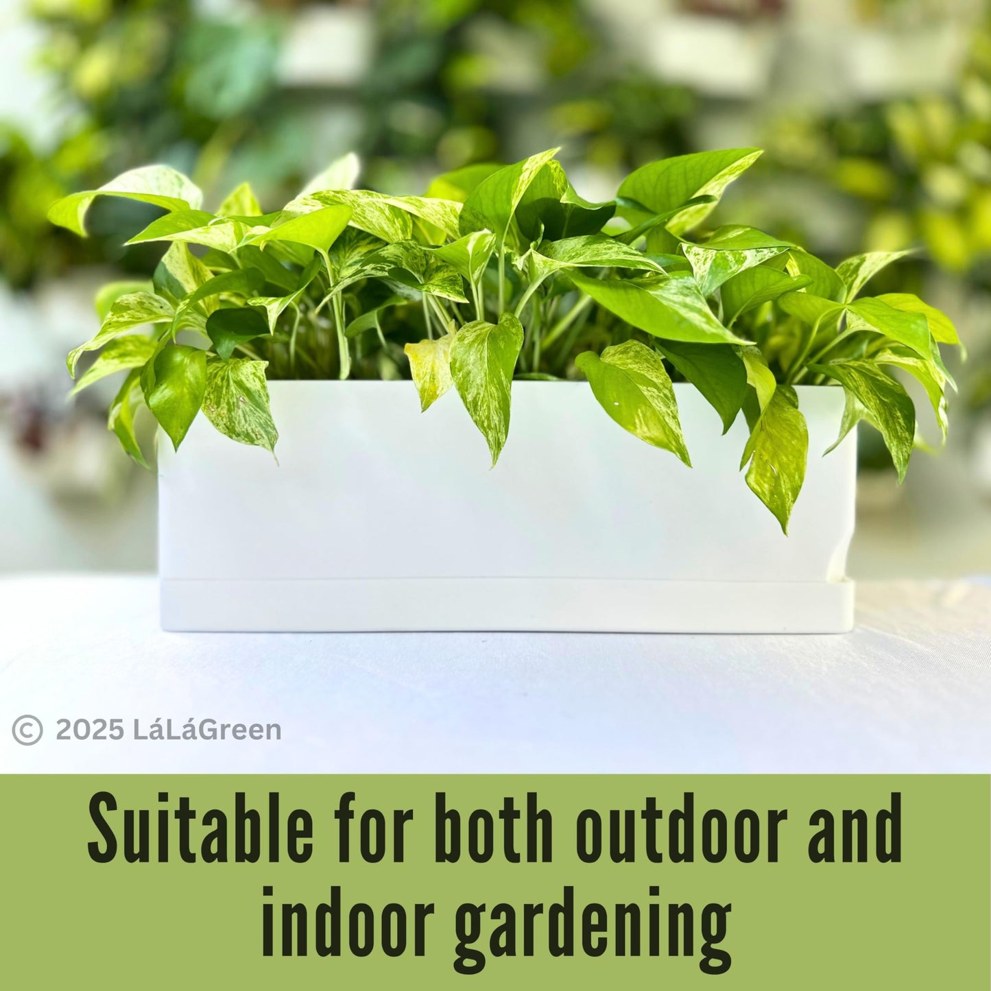 LaLaGreen Planters for Indoor Plants (7 Pack) White Rectangular Self-Watering Window Boxes Planter, Plastic Flower Box Pots Herb Small Long Windowsill Plant with Drainage Patio Garden Home Decor Porch