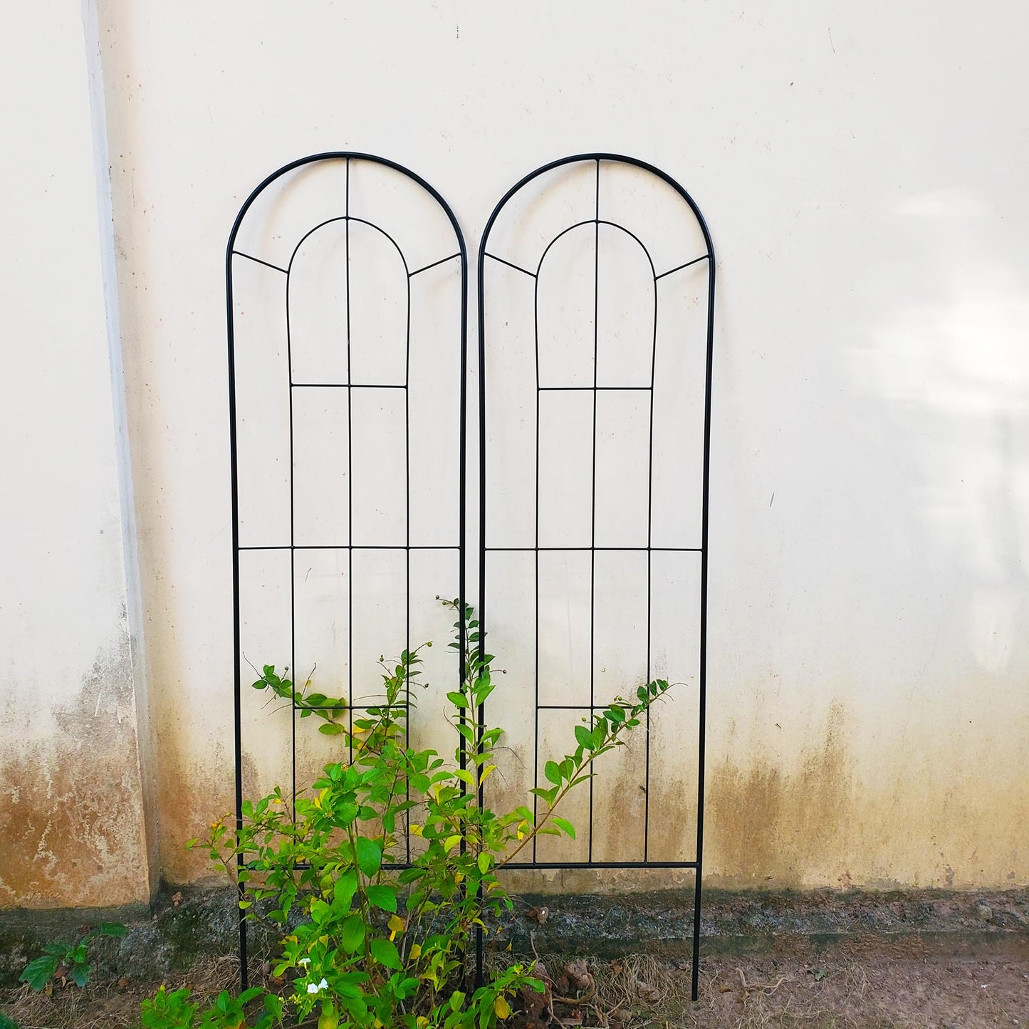 SCENDOR 2 Pack Black Garden Trellis for Climbing Plants 59" H x 15.9" W Iron Plant Support Climbing Vines and Flowers Stands Vegetables Patio Metal Lattices Garden Addition Outdoor