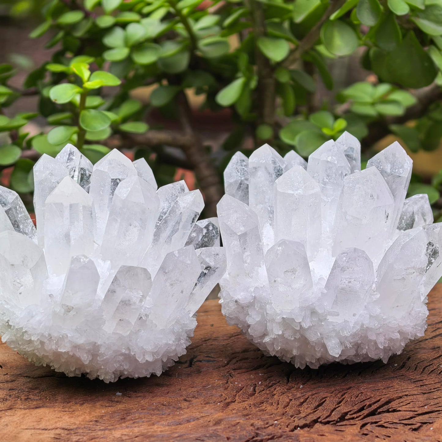 Natural Crystal Cluster Quartz Carved Crystal Sculpture Reiki Healing Stone Home Decor Mineral Specimen Crystal Gift Collection (white crystal)