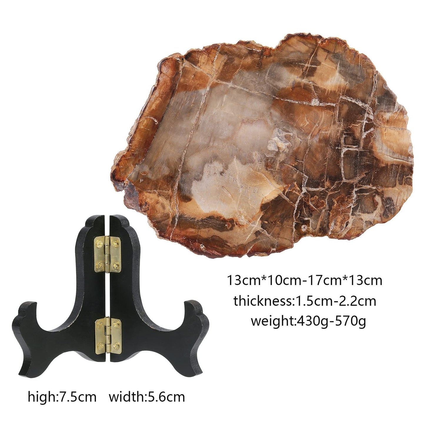 Rockcloud Natural Petrified Wood Slab with Wooden Stand, Reiki Raw Stone Display for Home Office Desktop Decoration