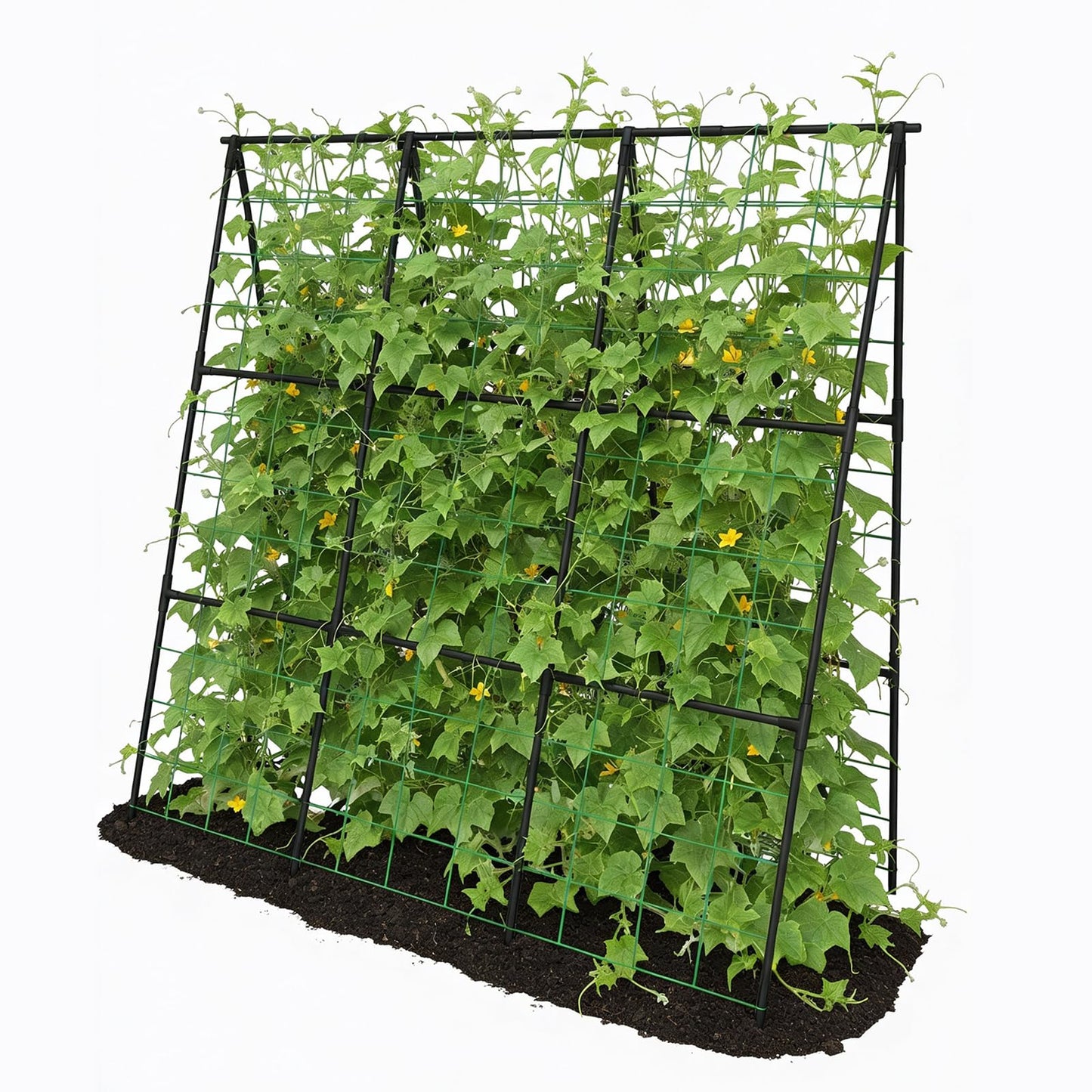 Trellume Cucumber Trellis - 49.4"*49.4" Metal Garden Trellis for Climbing Plants, Garden Trellis with Plastic-Coated Steel Pipe, A Frame Trellis for Cucumbers, Peas, Morning Glories(Black)