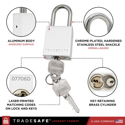 TRADESAFE Lockout Tagout Locks Set - 10 Silver Aluminum Loto Locks, Keyed Different Lock Out Tag Out Padlocks, 2 Keys Per Lockout Padlock, OSHA Compliant