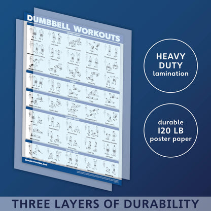 QuickFit Set of 3 Dumbbell Training Boards + Kettlebell Exercises + Body Weight Routine Poster, Laminated, 18" x 24"