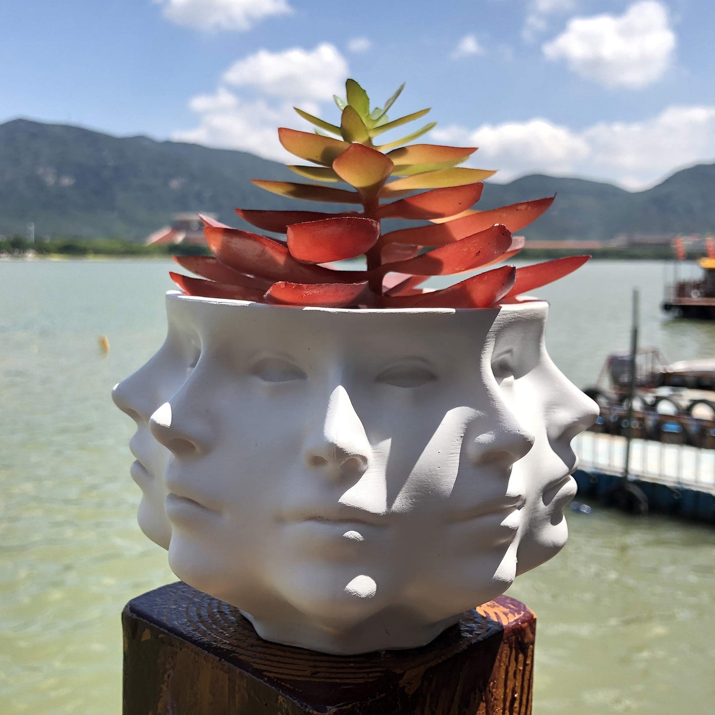 LuckyVin Multi-Face Succulent Planter Vase - Small Face Plant Head Home Decoration - Indoor Cactus Pot