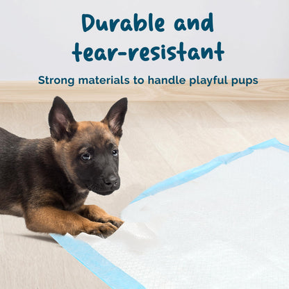 Petsentials Dog Toilet Training Pads - 105 Pack | Disposable & Super Absorbent Puppy Pee Pads | Strong & Tear-Resistant Pee Pads for Puppies - Potty Training Mats