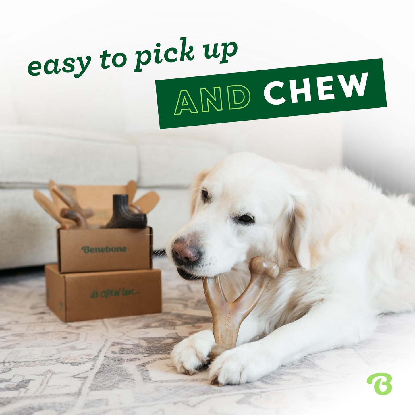 Benebone Indestructible Dog Chew Toy Gift Box for Aggressive Chewers with Wishbone, Fishbone, Stick & Zaggler, Long Lasting Boredom Breakers, 100% Real Flavours, For Small Dogs, Made in the USA.