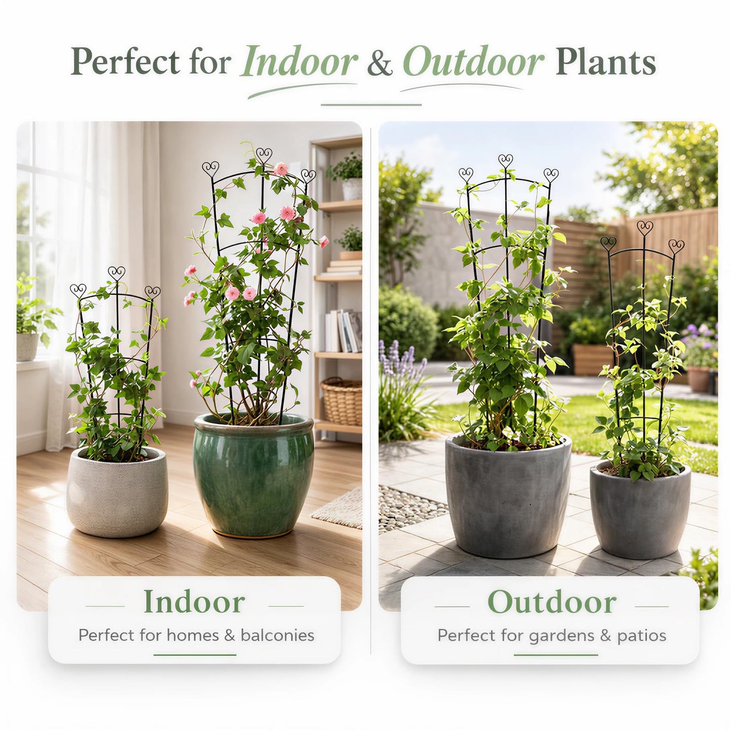 2 Pack Trellis for Climbing Plants Indoor, 31.5 Inch & 46.5 Inch Garden Plant Trellis for Climbing Plants Outdoor, Expandable House Plant Support for Pothos, Ivy, Monstera, Hoya, Black