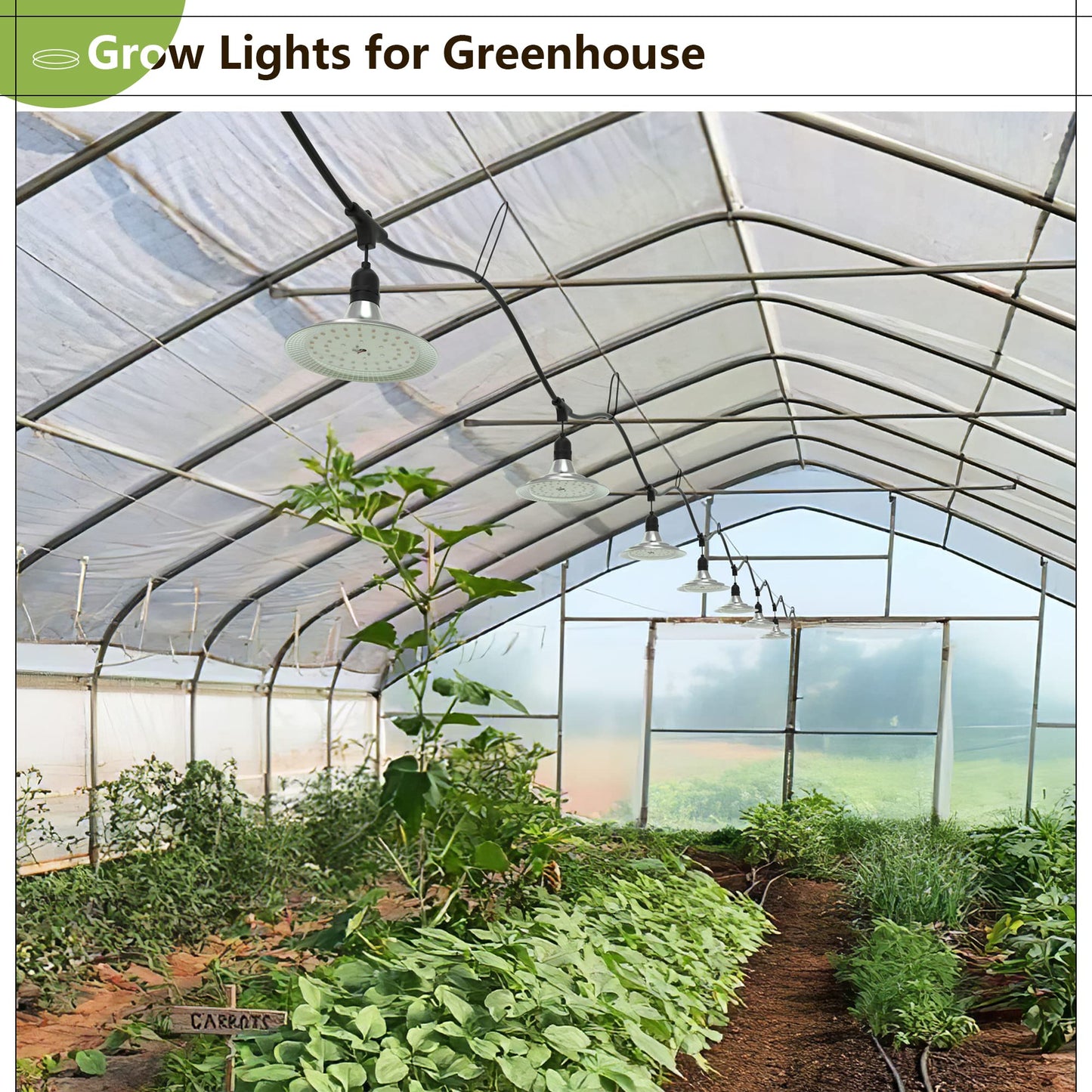 Espird Outdoor LED Grow Light, 12-Light Full Spectrum Grow Light Strip, Waterproof Plant Growing Lamps, UL Certified String Grow Lights for Greenhouse Garden, 41FT Outdoor Grow Light for Veg Seedling