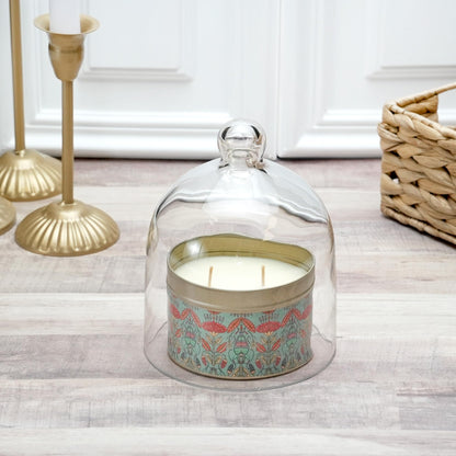 Plymor 5" x 6" Bell Jar Glass Display Dome Cloche (Interior Size 4.75" x 4.5")