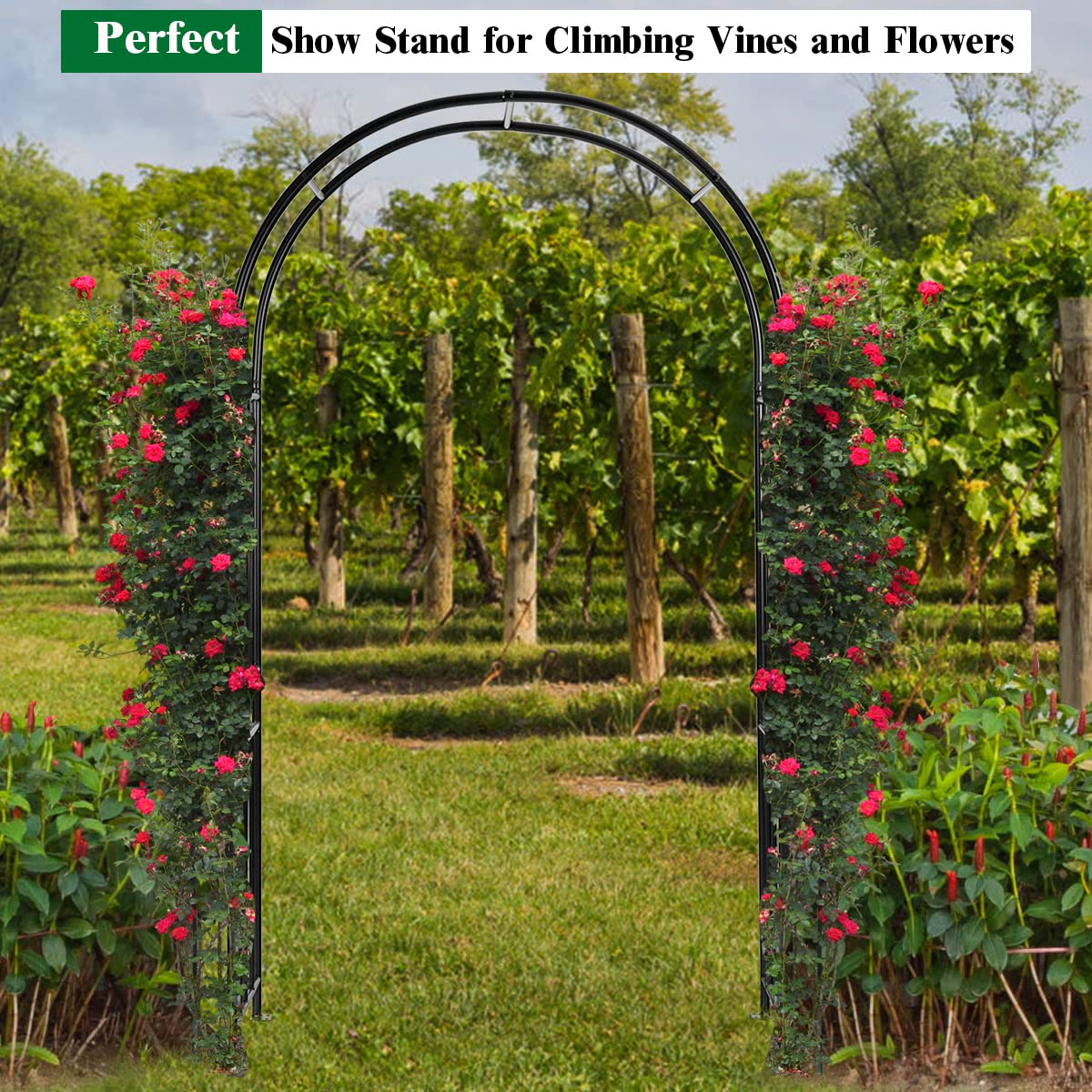 S AFSTAR Metal Garden Arch, 7.2ft/86 Outdoor Arbor for Various Climbing Plant Flower, Arch Trellis for Wedding Garden Bridal Party Festival Decoration, Easy-to-Assemble