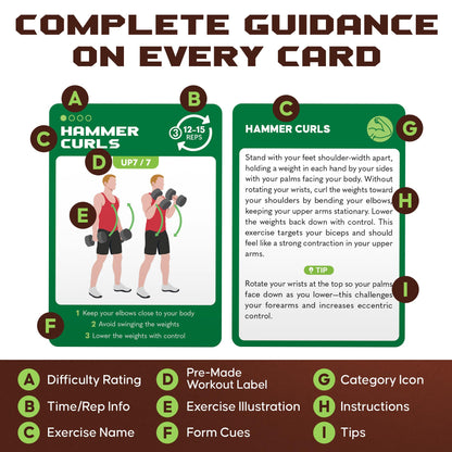 75 Dumbbell Workout Cards – 3.5” x 2.5” Full Body Weight Training Exercise Deck – At-Home Fitness Guide for Men and Women – Get Stronger With 12 Pre-Made Strength Workouts