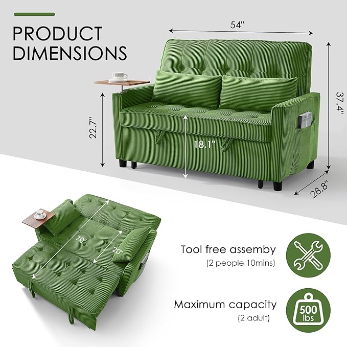 Sleeper Sofa Bed, Guest Room