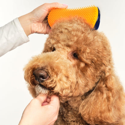 Tangle Teezer | Pet Teezer | Detangling and Dog Grooming Brush | Dry Brush or Dog Bath Brush | Navy & Orange