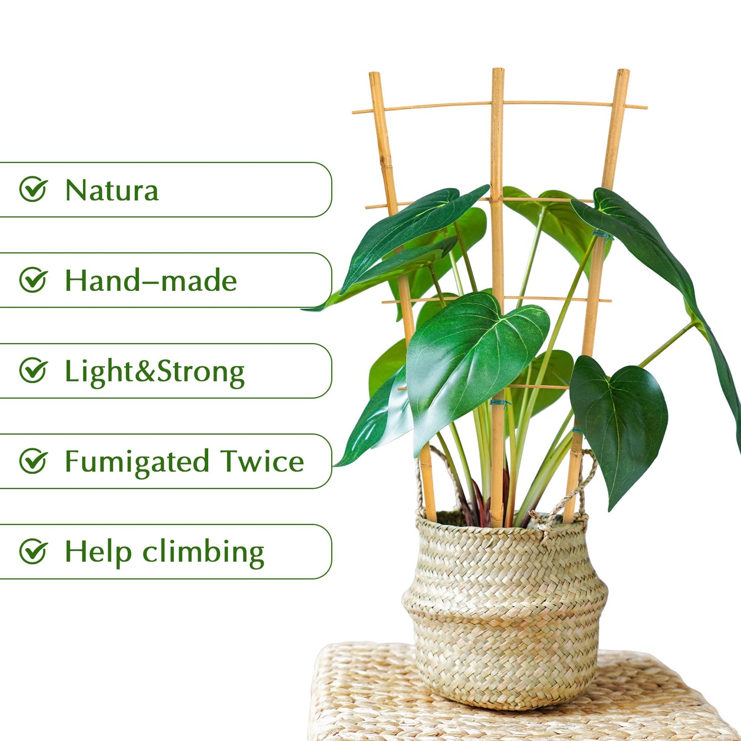 Bamboo Trellis, 12pack 16 Inch Small Plant Wood Bamboo Trellis for Climbing Plants Indoor Potted Plants